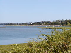 Image file: photo32.jpg