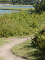 Image file: _2/photo25.jpg