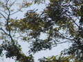 Image file: _2/photo28.jpg