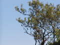 Image file: _2/photo29.jpg