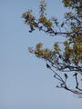Image file: _2/photo30.jpg