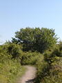 Image file: _2/photo34.jpg