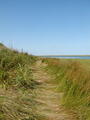 Image file: _2/photo38.jpg