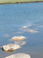 Image file: _2/photo40.jpg