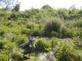 Image file: _2/photo41.jpg