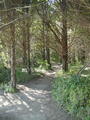 Image file: _2/photo42.jpg