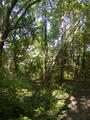 Image file: _2/photo44.jpg