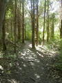 Image file: _3/photo45.jpg