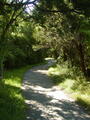 Image file: _3/photo49.jpg