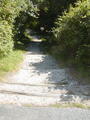 Image file: _3/photo50.jpg