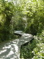 Image file: _3/photo52.jpg