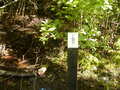Image file: _3/photo53.jpg