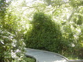 Image file: _3/photo59.jpg