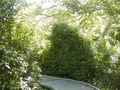 Image file: _3/photo60.jpg