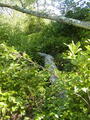 Image file: _3/photo61.jpg