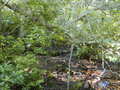 Image file: _3/photo63.jpg
