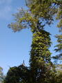 Image file: _3/photo65.jpg