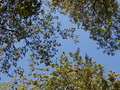 Image file: _4/photo67.jpg