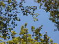 Image file: _4/photo68.jpg