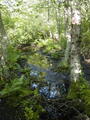 Image file: _4/photo69.jpg
