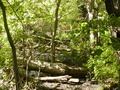 Image file: _4/photo71.jpg