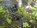 Image file: _4/photo72.jpg