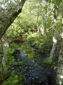 Image file: _4/photo73.jpg