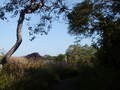 Image file: _4/photo74.jpg