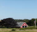 Image file: _4/photo77.jpg