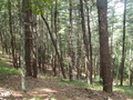 Image file: _1/photo02.jpg
