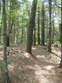 Image file: _1/photo03.jpg