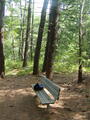 Image file: _1/photo04.jpg