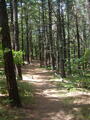 Image file: _1/photo05.jpg