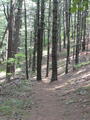 Image file: _1/photo07.jpg