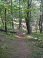 Image file: _1/photo08.jpg
