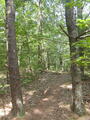 Image file: _1/photo10.jpg