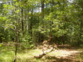 Image file: _1/photo11.jpg
