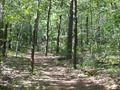 Image file: _1/photo12.jpg