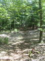 Image file: _1/photo13.jpg