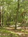Image file: _1/photo14.jpg