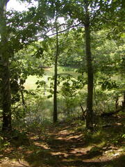 Image file: photo15.jpg
