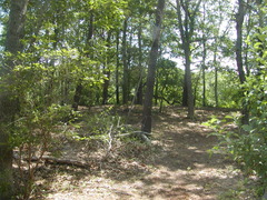 Image file: photo22.jpg