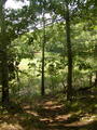 Image file: _2/photo15.jpg