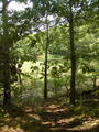 Image file: _2/photo16.jpg