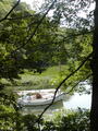 Image file: _2/photo18.jpg