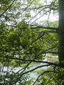 Image file: _2/photo20.jpg