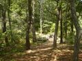 Image file: _2/photo21.jpg
