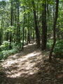 Image file: _2/photo27.jpg