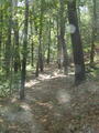 Image file: _2/photo28.jpg