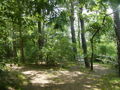 Image file: photo03.jpg